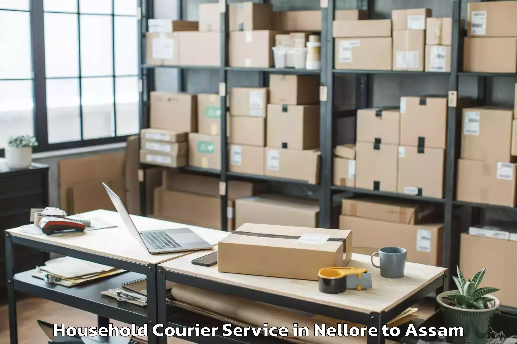 Top Nellore to Phuloni Household Courier Available